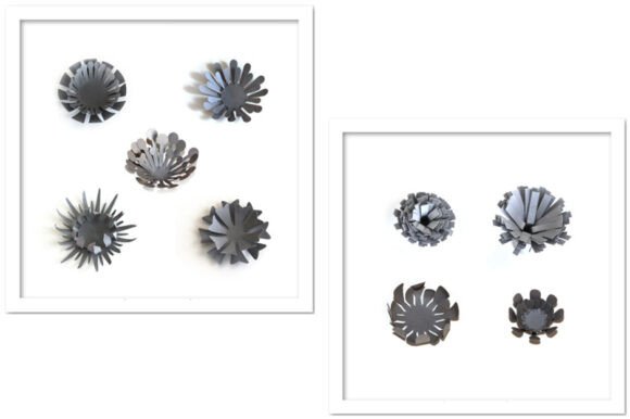 Flowers Centers 3D SVG for Paper Flowers